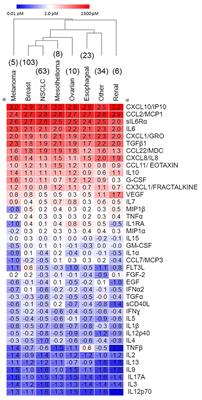 A common secretomic signature across epithelial cancers metastatic to the pleura supports IL-6 axis therapeutic targeting